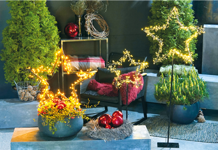 LICHTBLICKE IM WINTER-GARTEN!