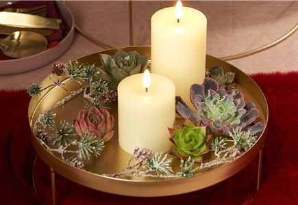 IM GLANZ DER ELEGANZ!