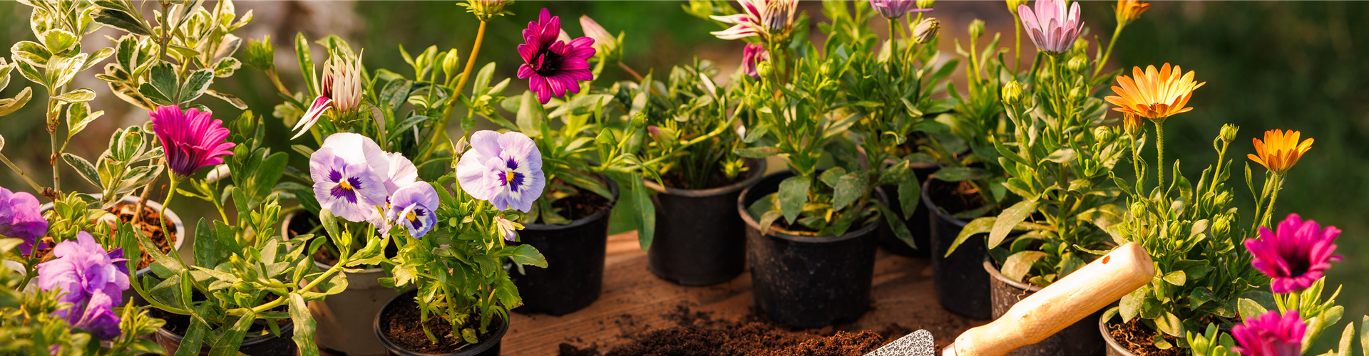 Buch des Monats: Januar!