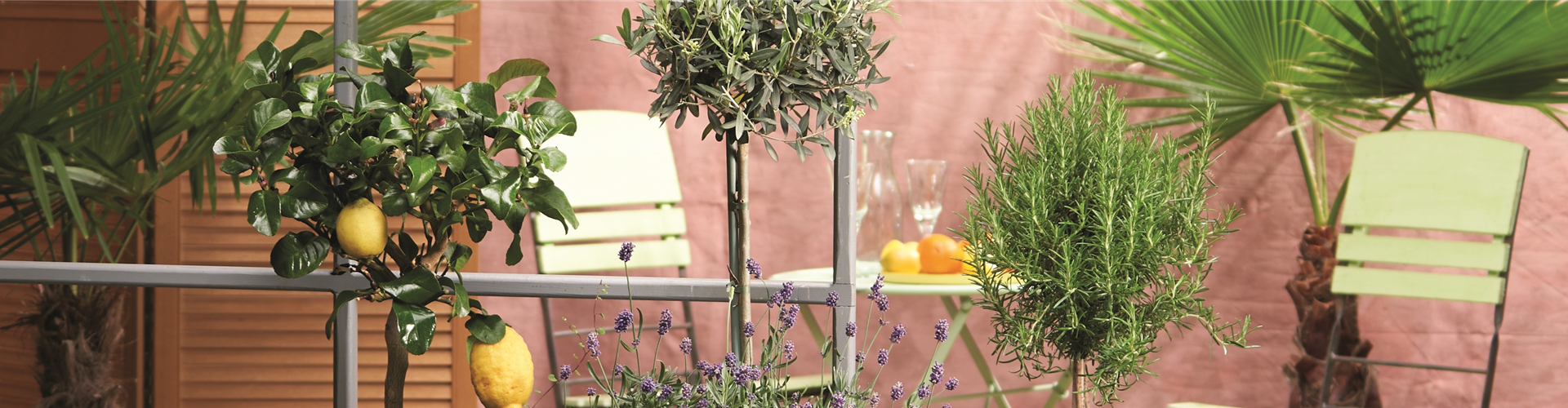 MEDITERRANER FLAIR! 