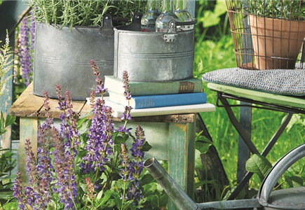 SOMMER IM STAUDENGARTEN!