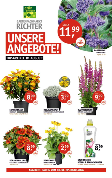 Monatsstart-Angebote