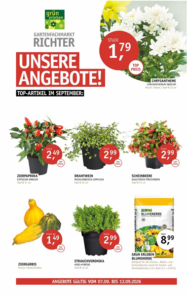 Monatsstart-Angebote